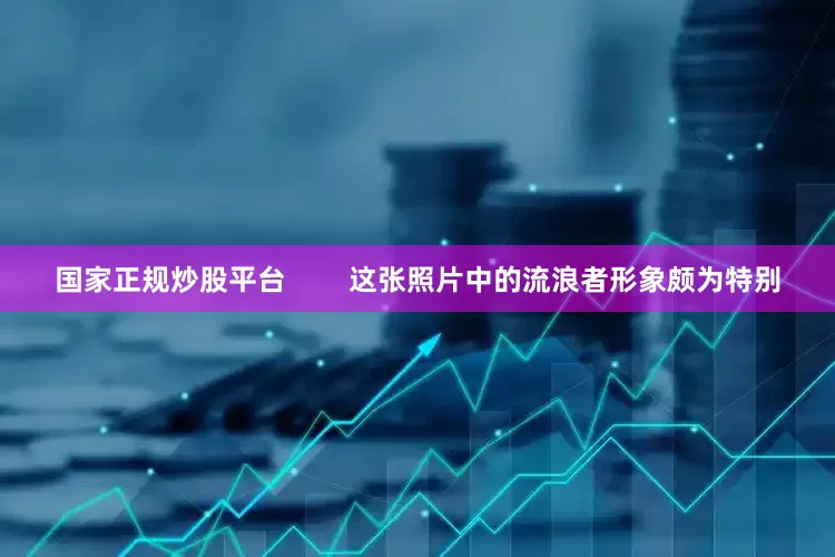 国家正规炒股平台        这张照片中的流浪者形象颇为特别