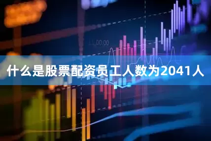 什么是股票配资员工人数为2041人