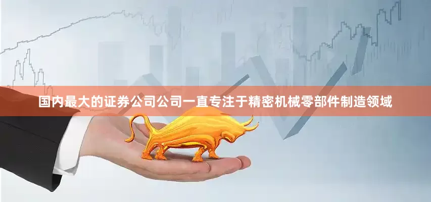 国内最大的证券公司公司一直专注于精密机械零部件制造领域