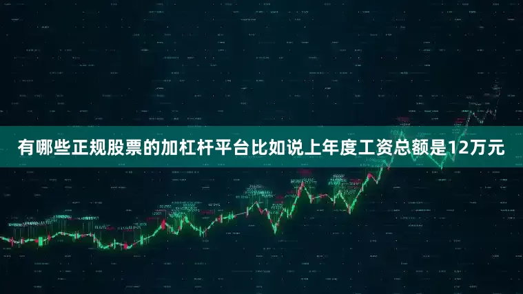 有哪些正规股票的加杠杆平台比如说上年度工资总额是12万元