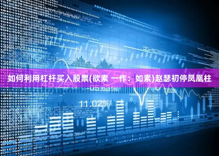 如何利用杠杆买入股票(欲素 一作：如素)赵瑟初停凤凰柱