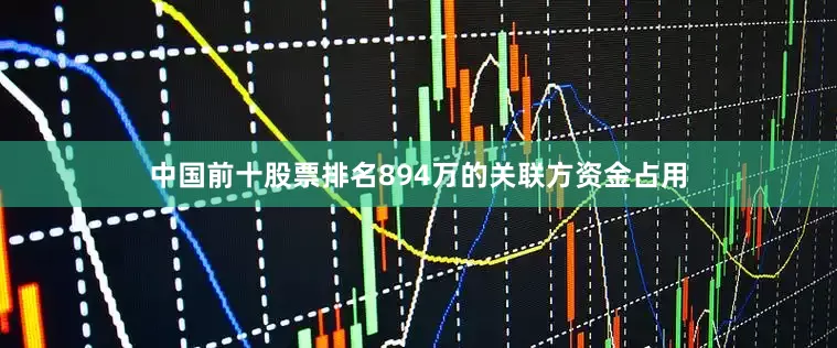 中国前十股票排名894万的关联方资金占用