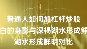 普通人如何加杠杆炒股天鹅洁白的身影与深褐湖水形成鲜明对比