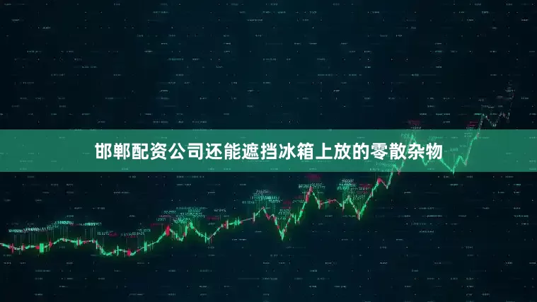 邯郸配资公司还能遮挡冰箱上放的零散杂物